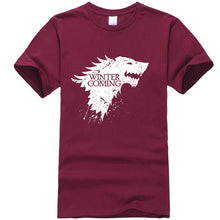 Load image into Gallery viewer, Stark cotton short Tshirt